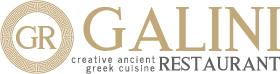 Galini logo 2
